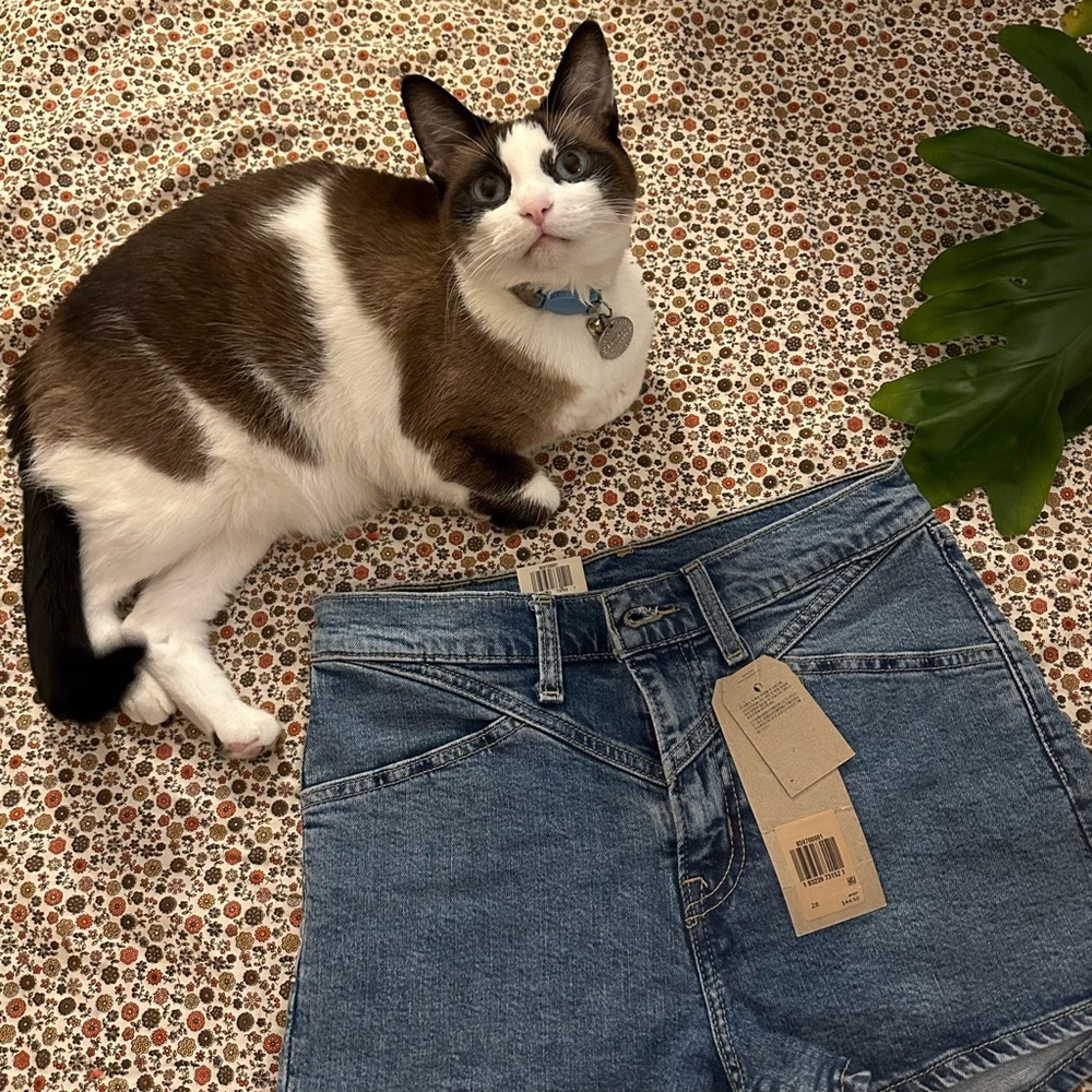 SOLD | NWT Levi’s High-Waisted Shorts